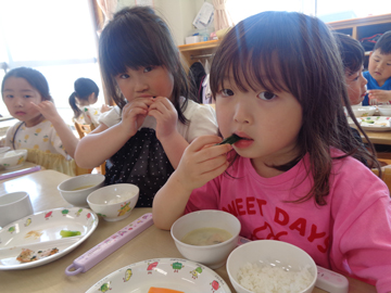 食育活動