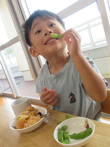 食育活動