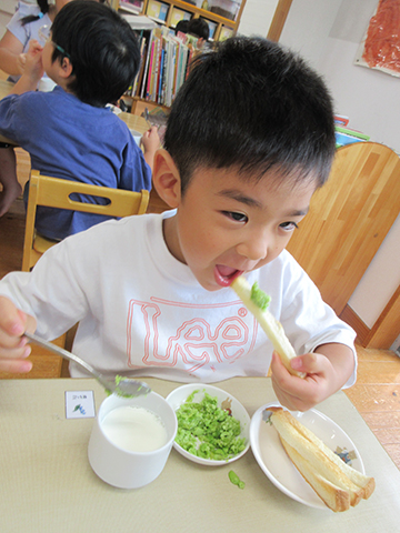 食育活動