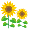 8月