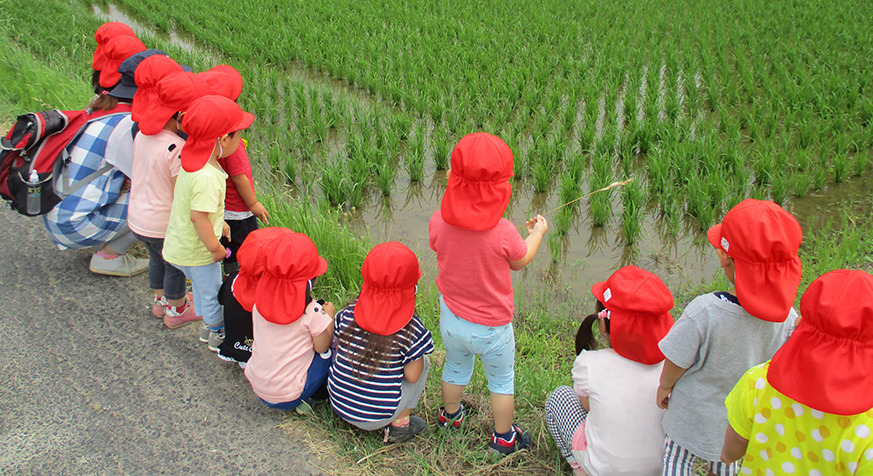 柳生もりの子保育園